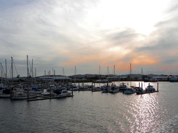 Gladstone Harbour